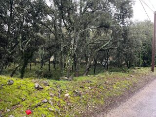  Terrain � vendre 1807 m�