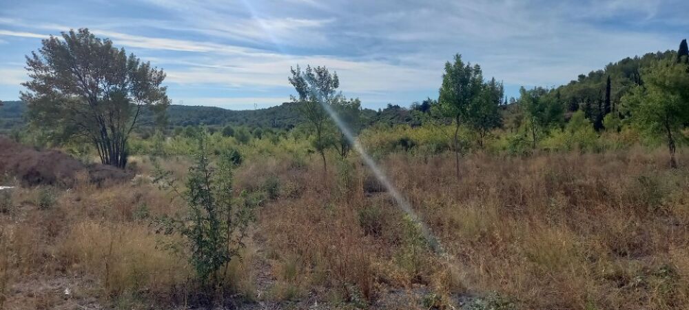 vente Maison - 6 pièce(s) - 134 m² Marcorignan (11120)