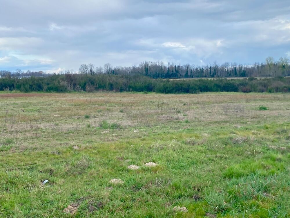 vente Terrain - 705 m² Podensac (33720)