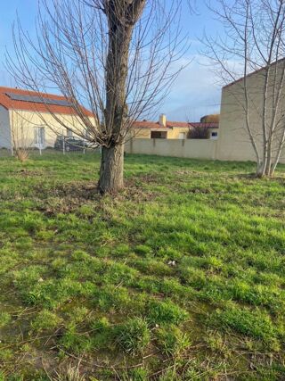  Terrain � vendre 481 m�