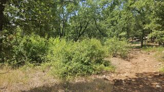  Terrain � vendre 3137 m�