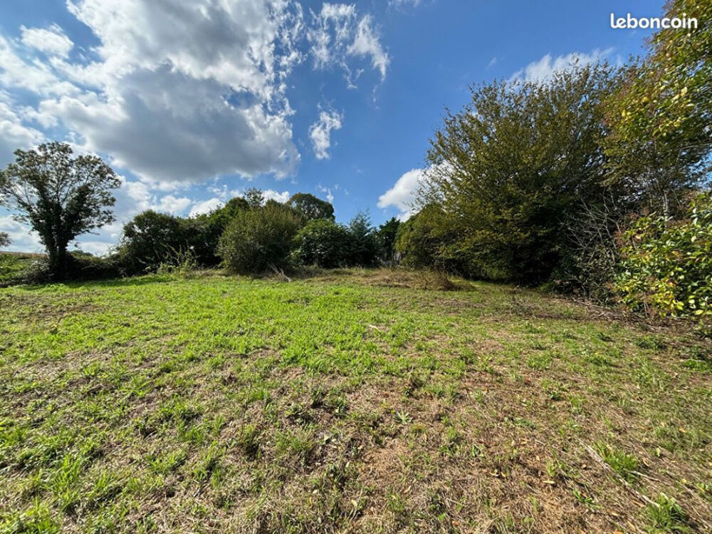 vente Maison - 3 pièce(s) - 85 m² Landiras (33720)