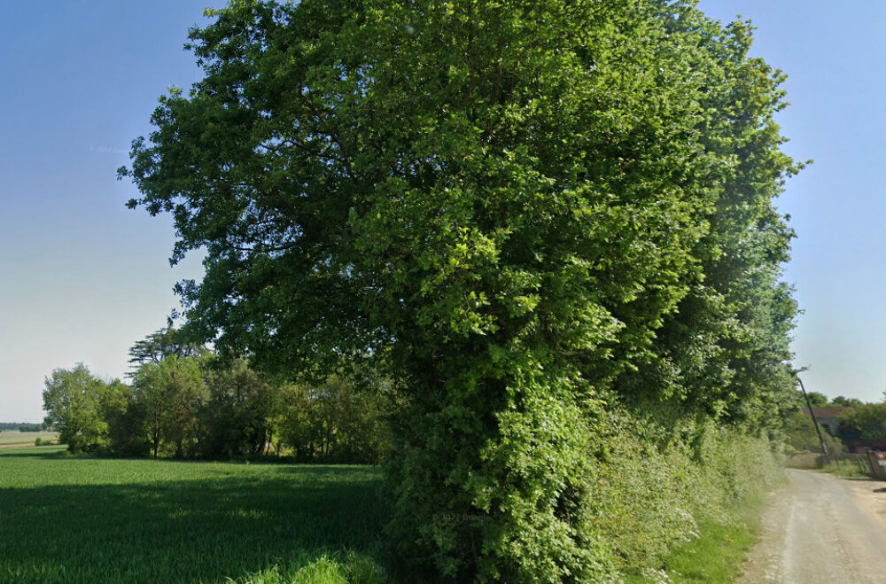 MAISON À CONSTRUIRE DE 114 M² À TESSON, PROXIMITÉ SAINTE....
