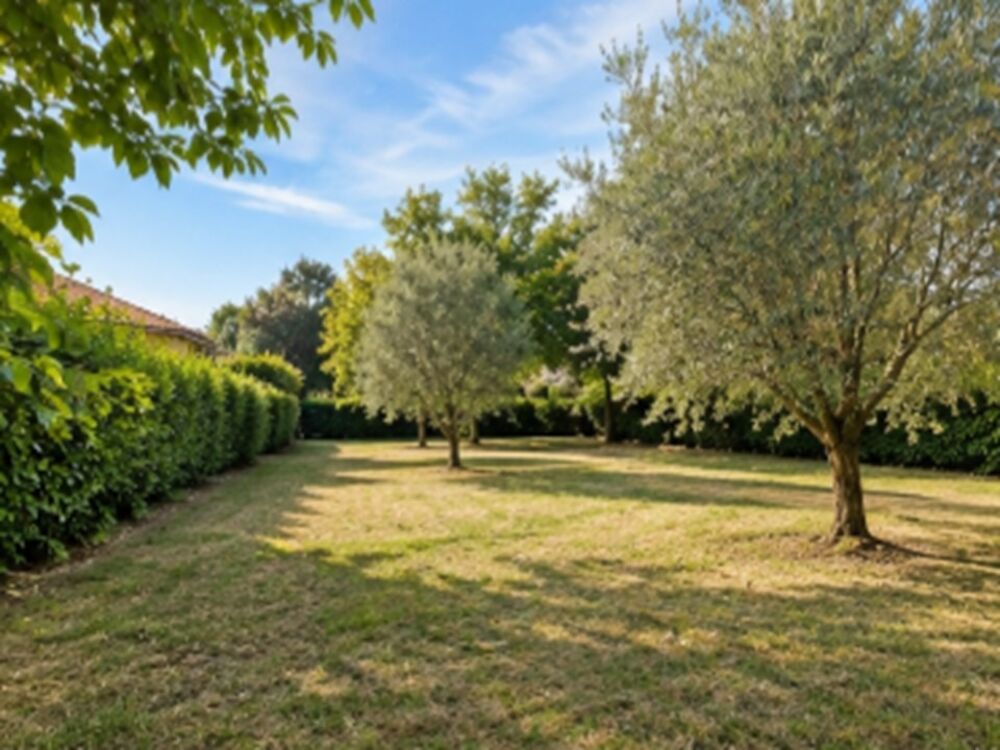 vente Maison - 3 pièce(s) - 85 m² Saint-Laurent-d'Arce (33240)