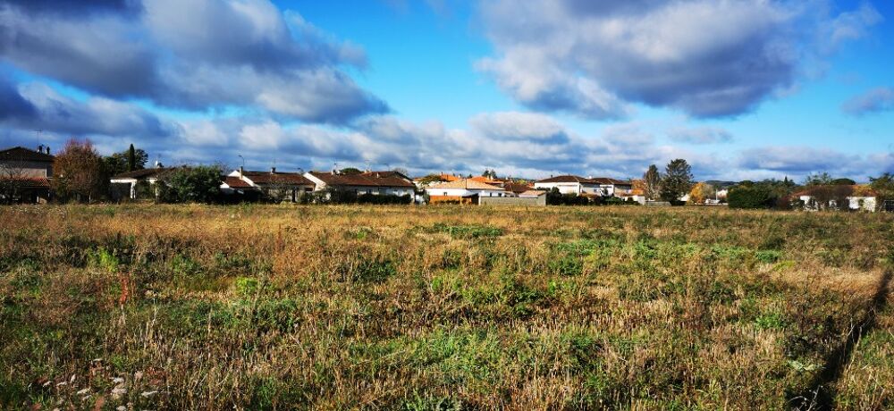 vente Maison - 4 pièce(s) - 85 m² Gaillac (81600)