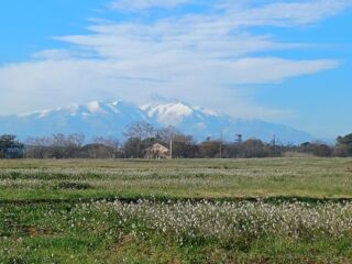  Terrain � vendre 700 m�