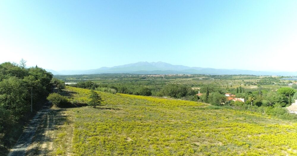 vente Terrain - 200 m² Banyuls-dels-Aspres (66300)