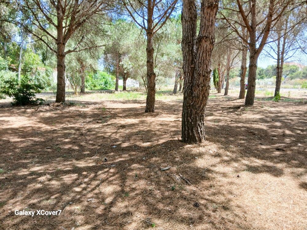 vente Terrain - 1623 m² Perpignan (66000)