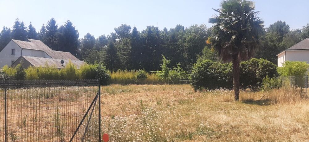 vente Maison - 5 pièce(s) - 159 m² Changé (72560)