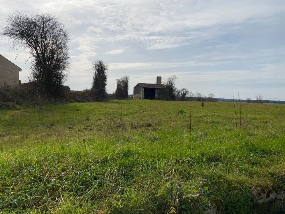 vente Terrain - 753 m² Plassay (17250)