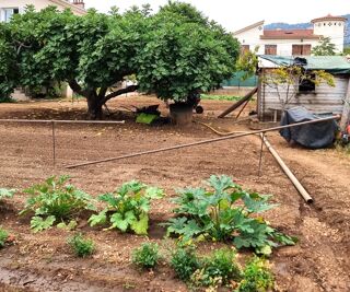  Terrain � vendre 500 m�