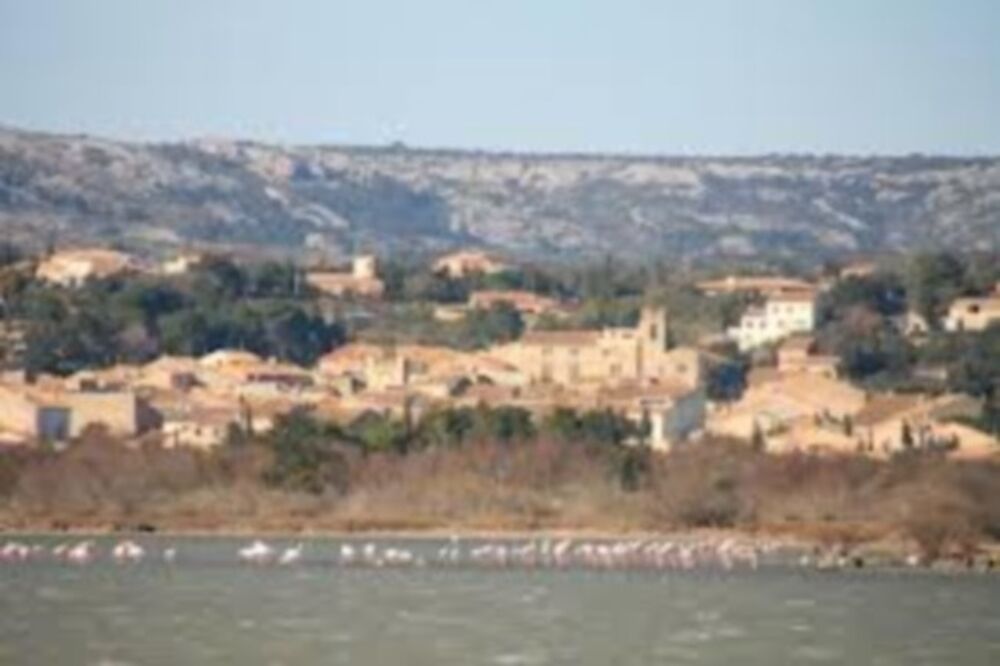 vente Terrain - 630 m² La Palme (11480)