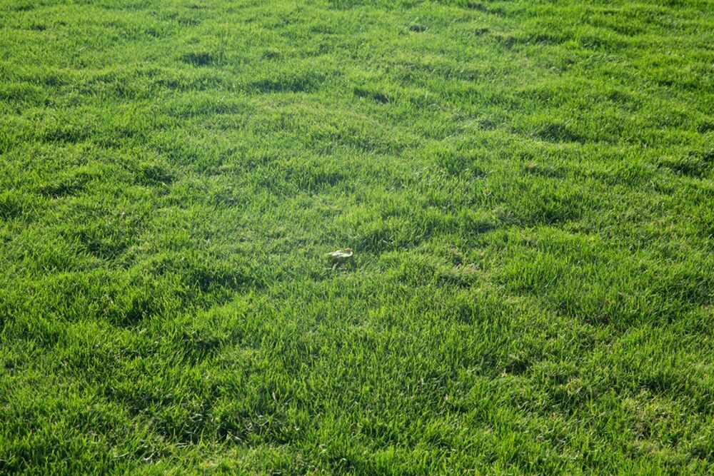 vente Maison - 4 pi�ce(s) - 79 m� Saint-Hilaire-de-Riez (85270)