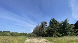  Terrain 990 m� L'�le-d'olonne