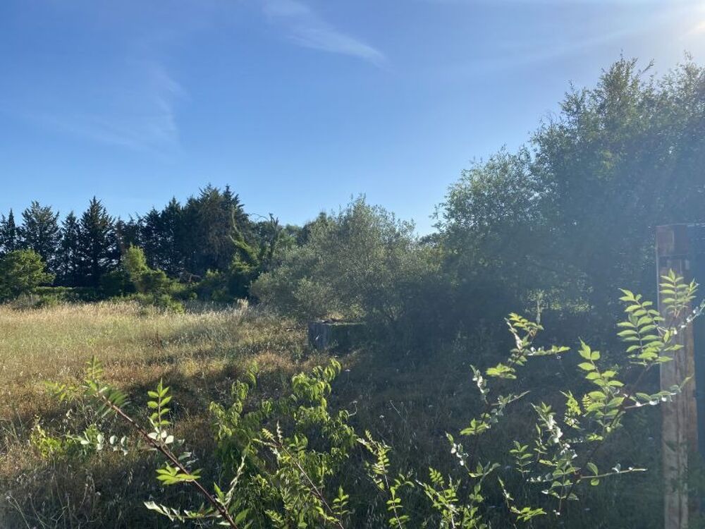 vente Terrain - 515 m Quissac (30260)