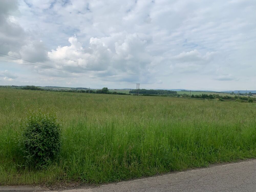vente Maison Distroff (57925)
