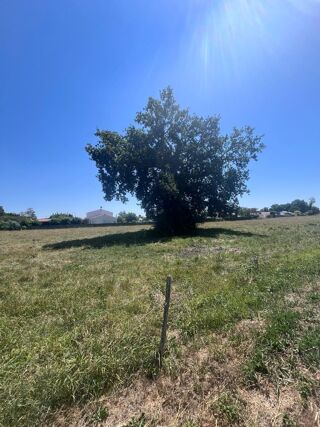  Terrain 312 m� M�dis