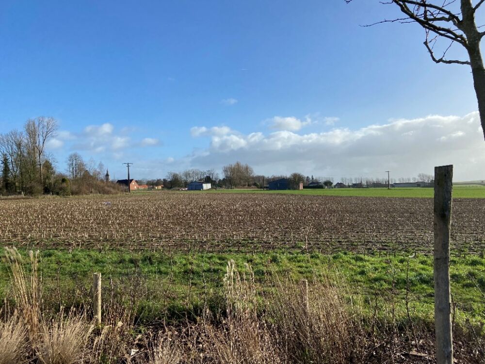 vente Maison - 6 pièce(s) - 110 m² Thélus (62580)