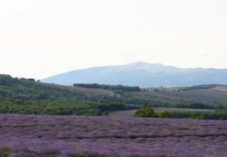  Terrain  vendre 572 m