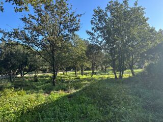  Maison 6 pi�ces 200 m� Le plan-de-la-tour