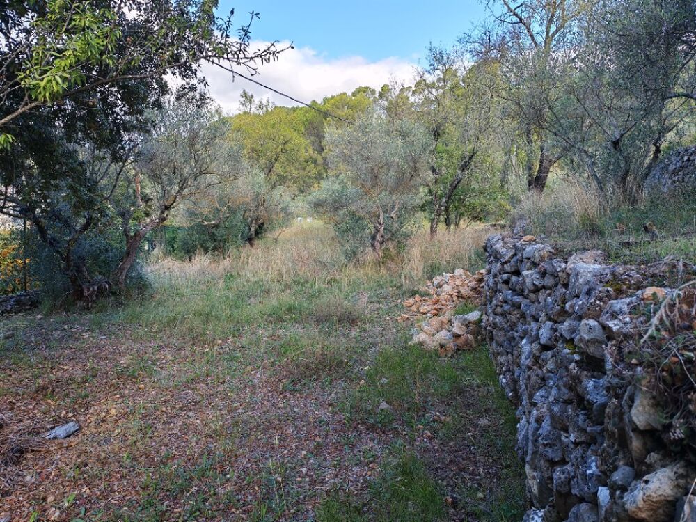 vente Terrain - 1005 m² Carnoules (83660)