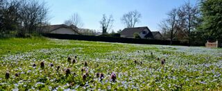  Terrain � vendre 812 m�