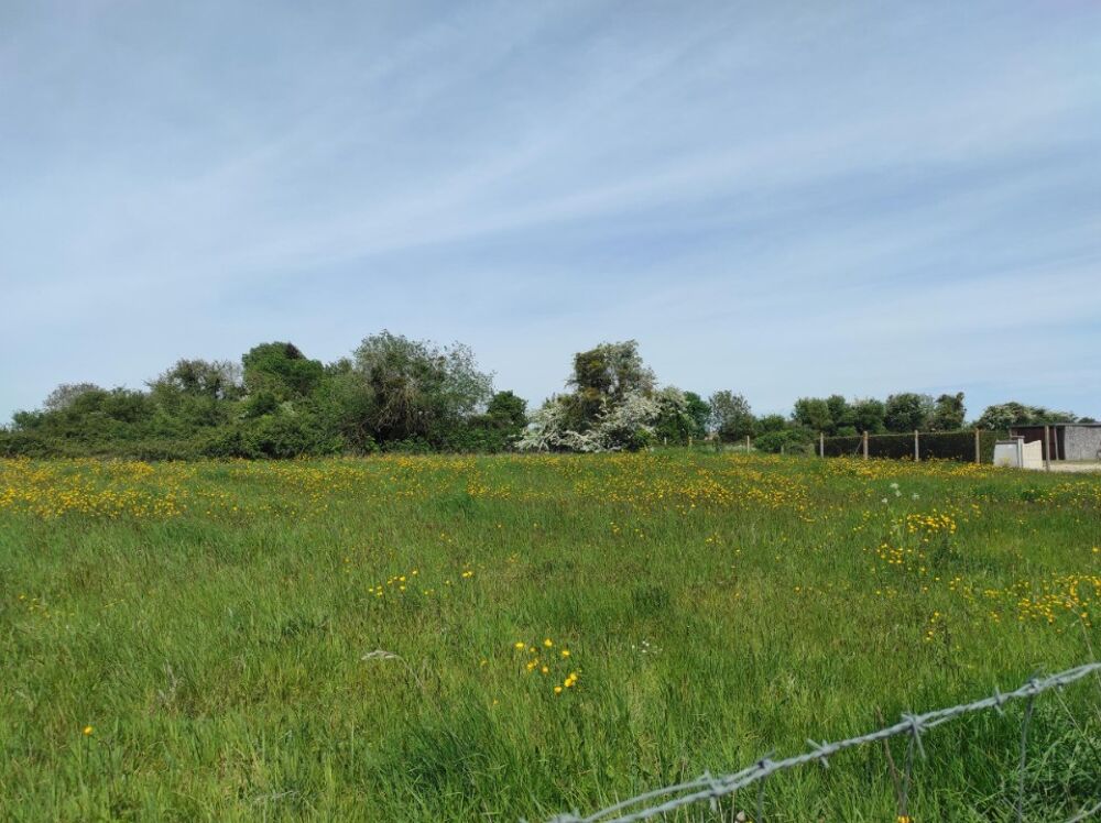 vente Maison - 3 pièce(s) - 68 m² Étrépagny (27150)