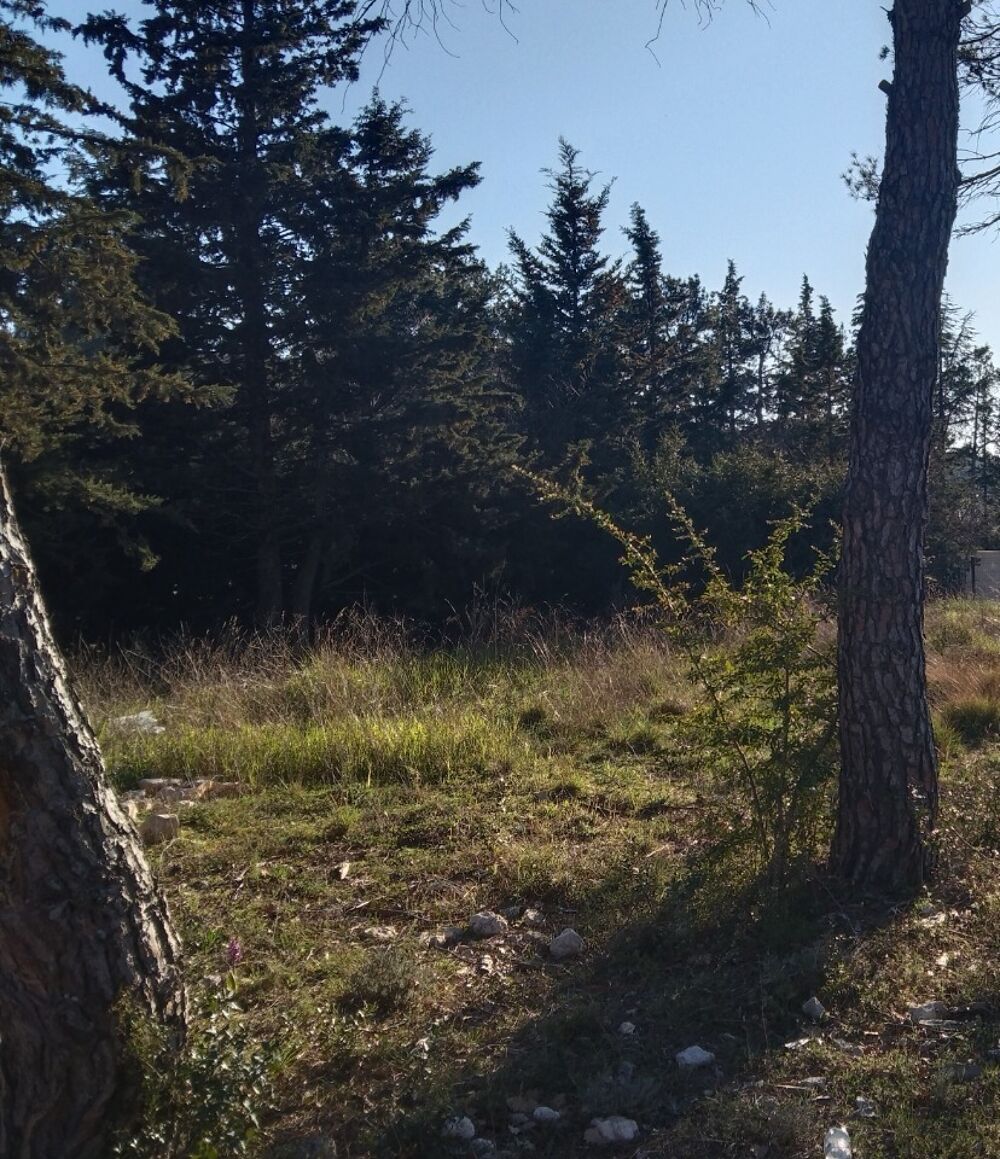 vente Maison - 4 pièce(s) - 83 m² La Bastide-des-Jourdans (84240)