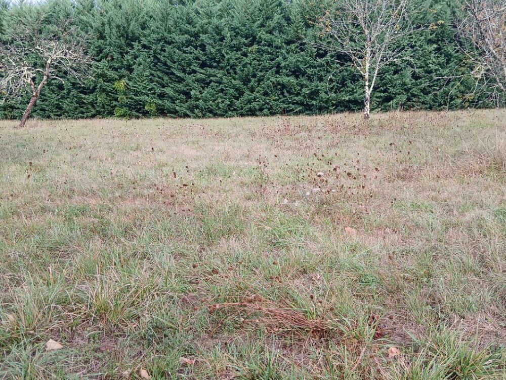 vente Terrain - 2450 m² Lisle (24350)