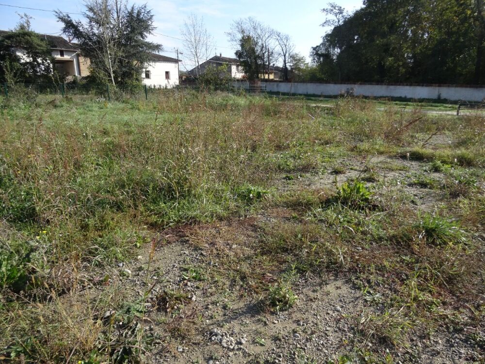 vente Terrain - 450 m² Grisolles (82170)
