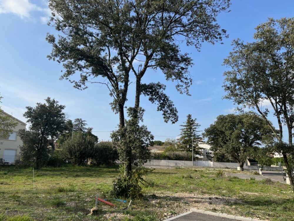 vente Terrain - 353 m² Bollène (84500)