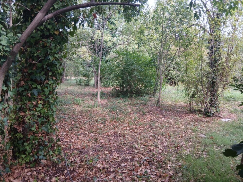 vente Terrain - 763 m² Solliès-Pont (83210)