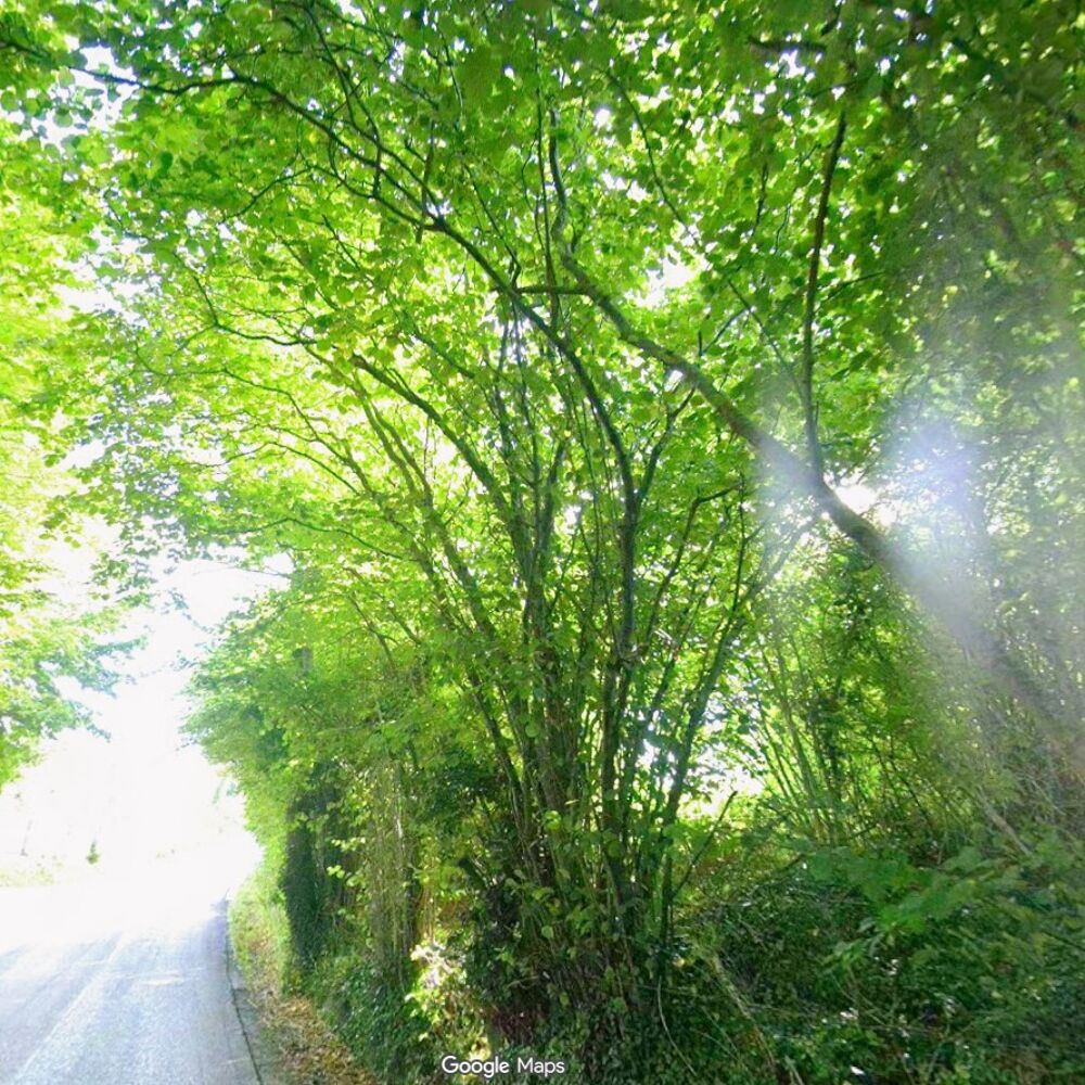 vente Terrain - 1001 m² Bonneville-sur-Touques (14800)