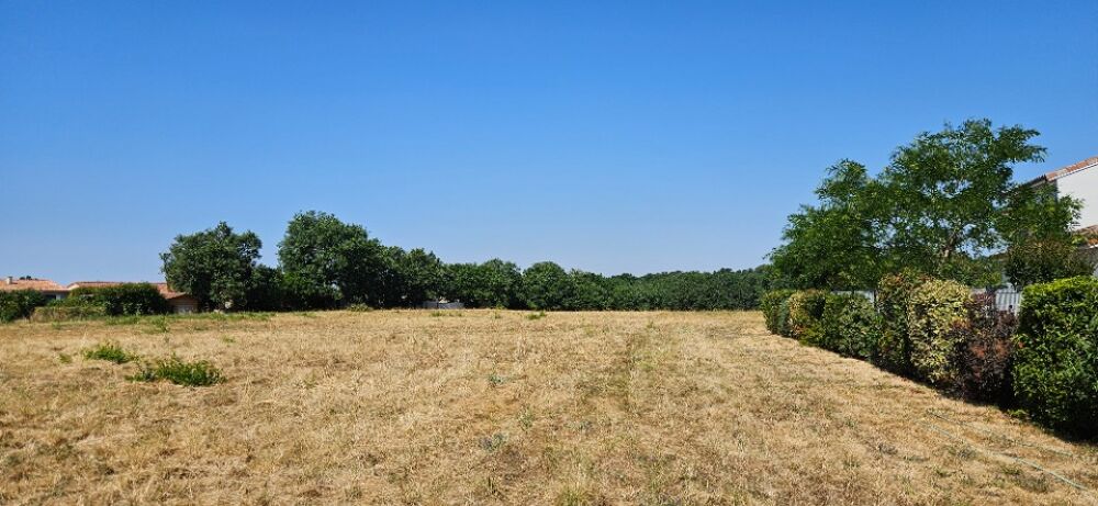 vente Terrain - 470 m² Saint-Clar-de-Rivière (31600)