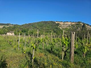  Terrain � vendre 416 m�