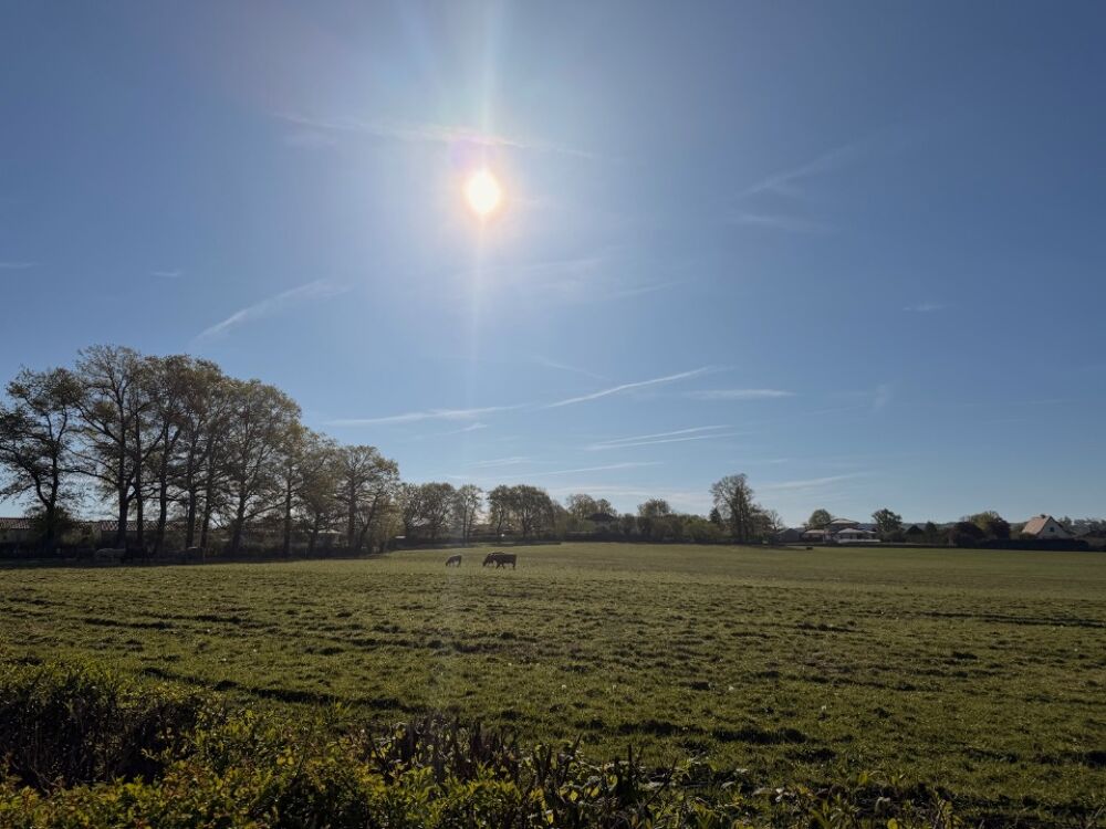 vente Terrain - 970 m² Ytrac (15130)