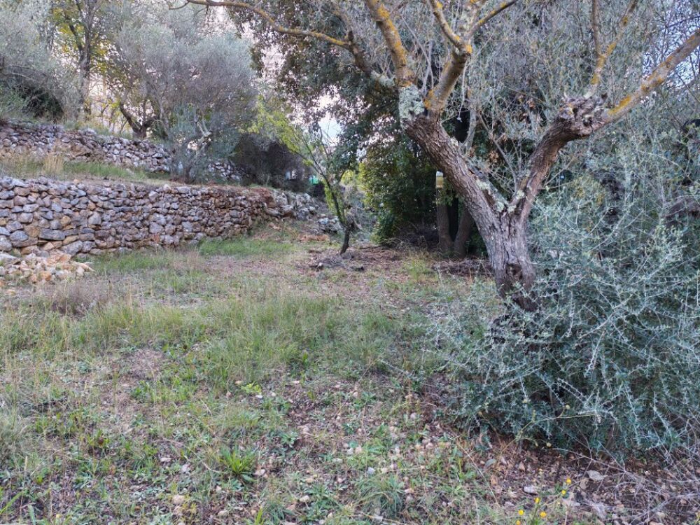 vente Terrain - 1005 m² Carnoules (83660)