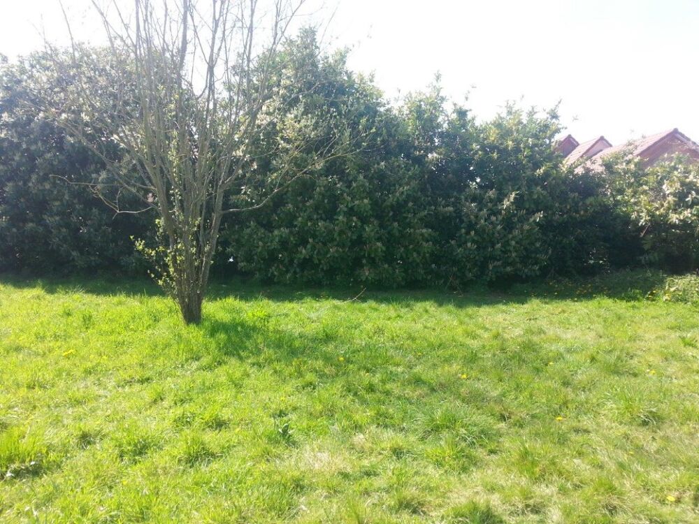 vente Maison - 5 pièce(s) - 137 m² Saint-Pierre-lès-Elbeuf (76320)
