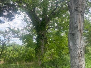  Terrain  vendre 220 m