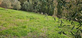  Terrain 1066 m� Valbonne