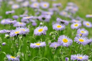  Terrain 580 m� Biganos