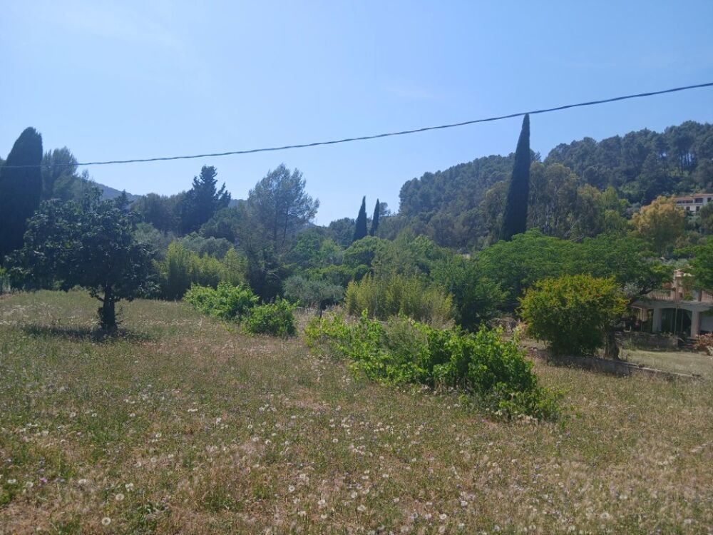 vente Terrain - 501 m² Solliès-Pont (83210)