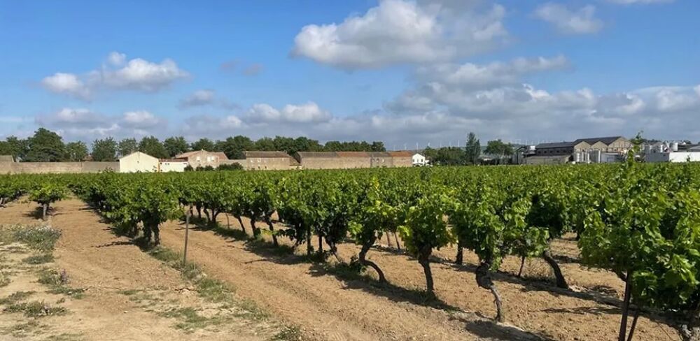 vente Maison - 4 pièce(s) - 143 m² Canet (11200)
