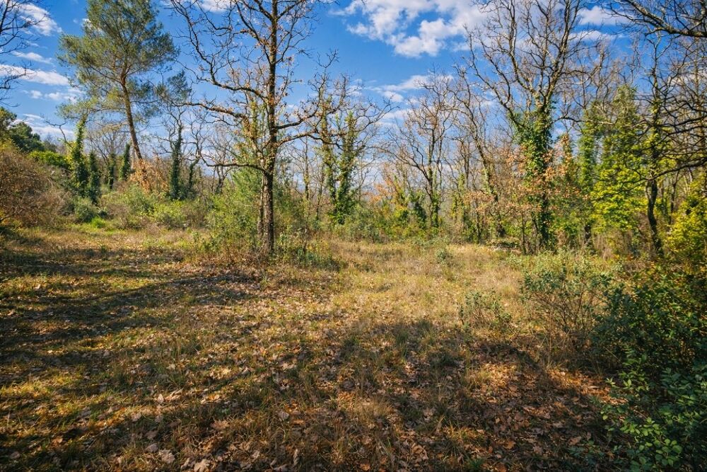 vente Terrain - 4350 m² Saint-Cézaire-sur-Siagne (06530)