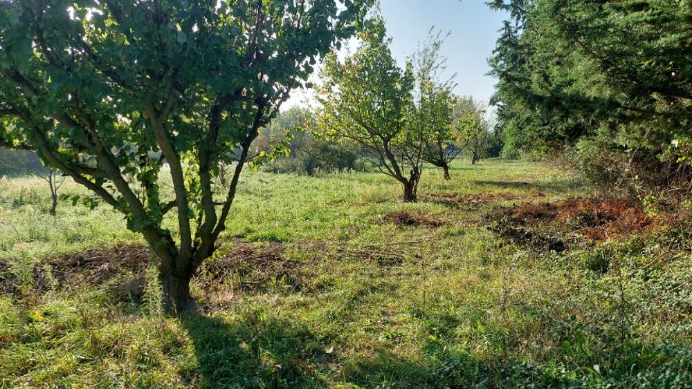 vente Maison - 5 pièce(s) - 110 m² Sénas (13560)