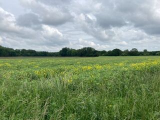  Terrain � vendre 432 m�