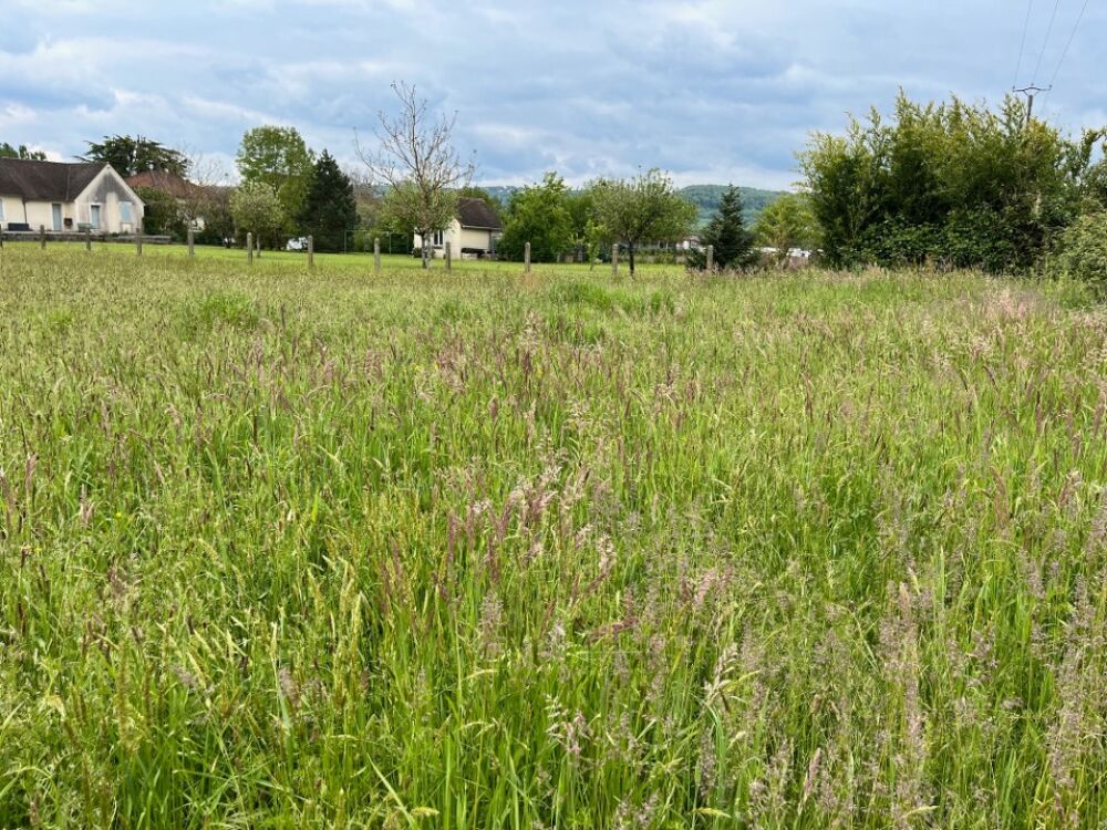 vente Terrain - 1000 m² Prudhomat (46130)