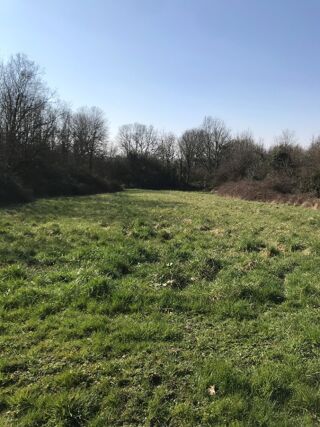  Maison à vendre 8 pièces 145 m²