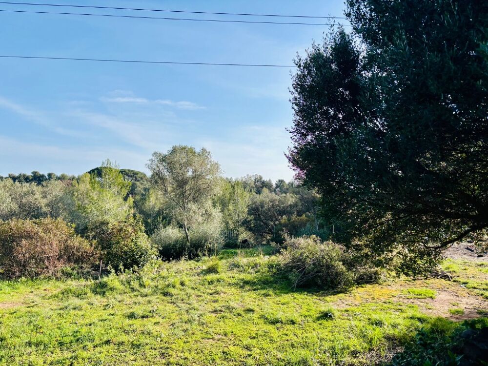 vente Terrain - 500 m² Ollioules (83190)