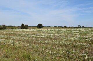  Terrain à vendre 1200 m²
